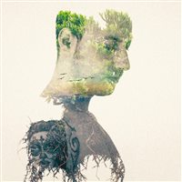 Zephyr
